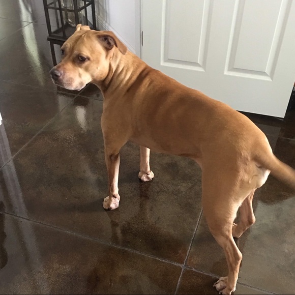 Meet Your Posher😆 ‼️OFFERS WELCOMED ALWAYS 😁‼️ - Picture 5 of 5